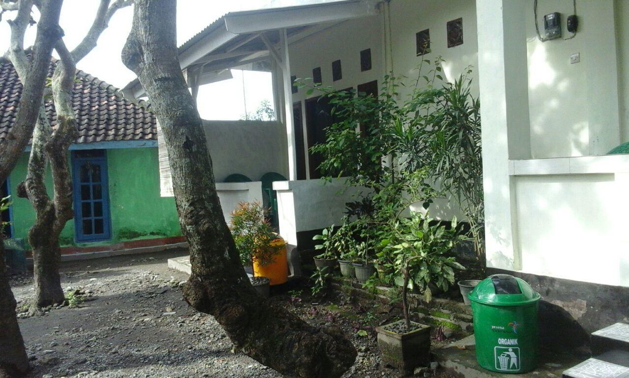 Pedek Homestay Praya Exterior foto
