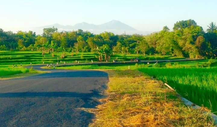 Pedek Homestay Praya Exterior foto