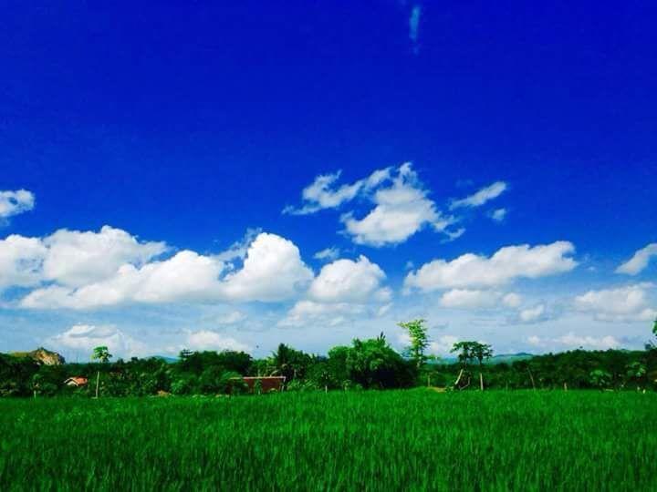 Pedek Homestay Praya Exterior foto
